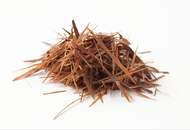 pau d arco bark benefits antifungal immune natural medicine