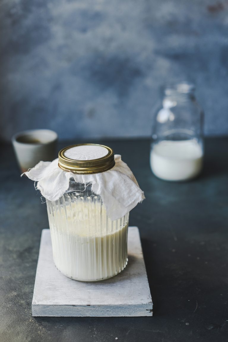 probiotic health benefits fermented food gut health natural medicine 🌿
