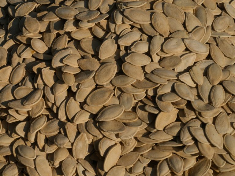 pumpkin seed health benefits