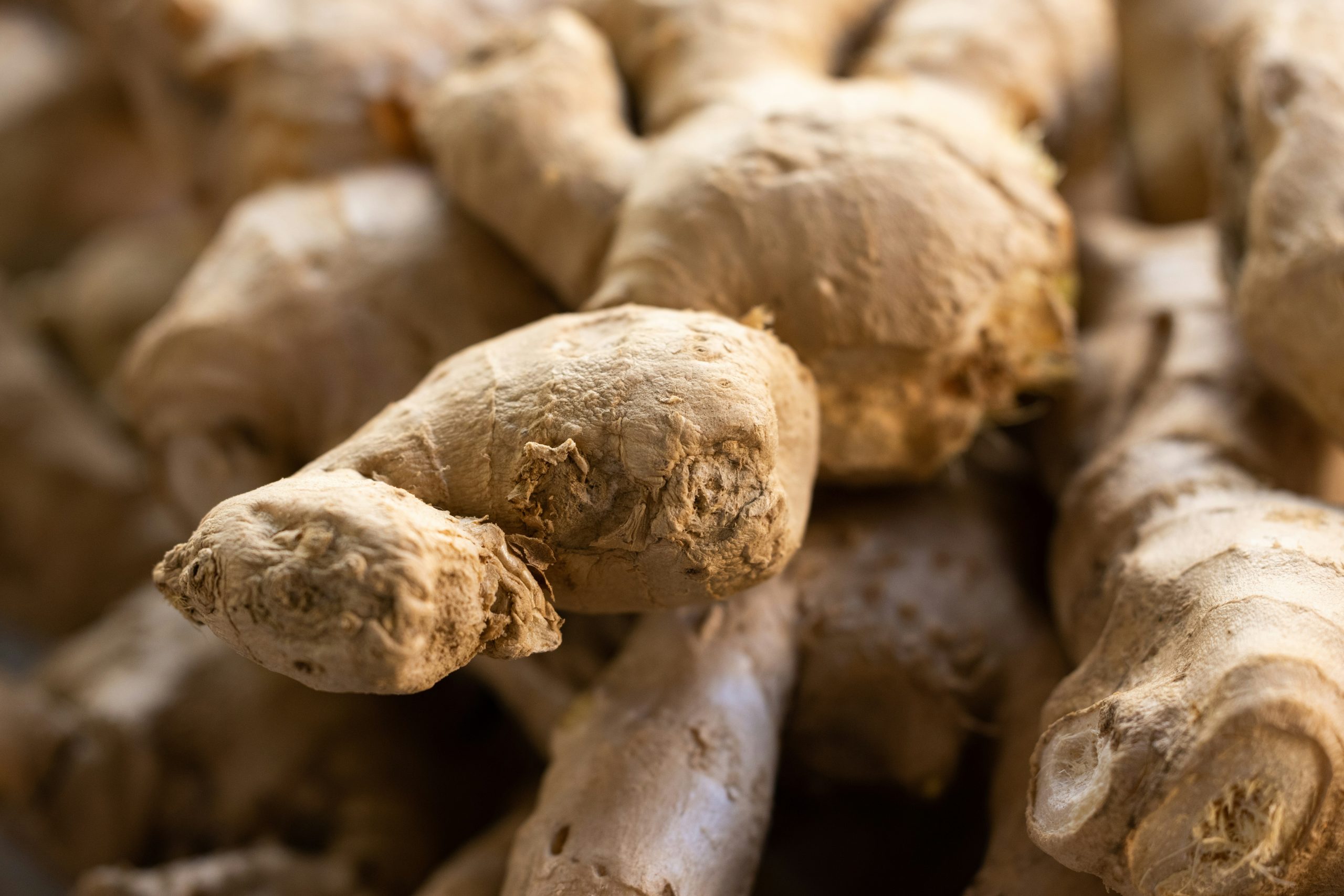 ginger root health benefits natural medicine