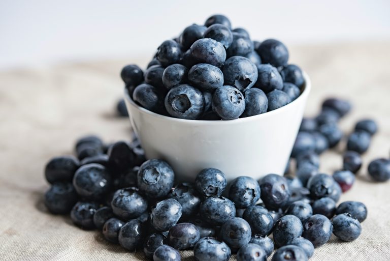 blueberry health benefits antioxidants brain natural medicine